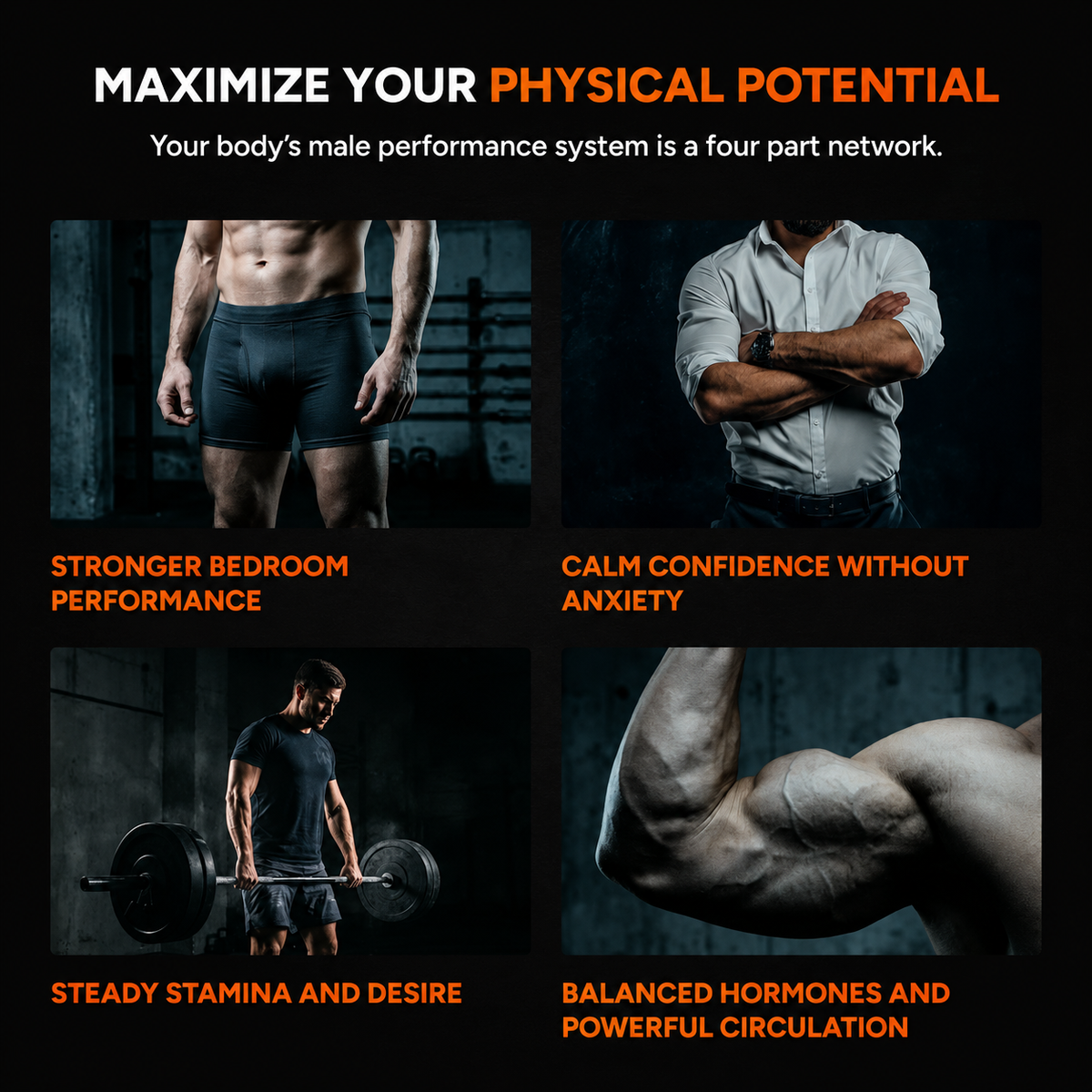 Performance Gummies. your 10-in-1 support